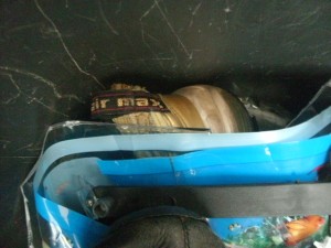 Müll1114 061.jpg (205.84 KiB) 4863 mal betrachtet Ein "letzter güldener Gruß"?!