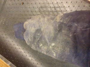 IMG_4891.JPG