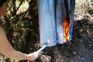 Silbercaspe 020.JPG