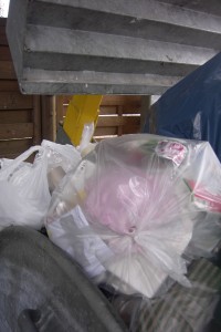 Müll1111 011.jpg (354.82 KiB) 9809 mal betrachtet Beinahe wäre der zarte Spitzen-BH in die Müllpresse gekommen.