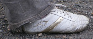SE8202.jpg