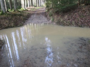 Dieses Bachbett mußte ich dann mit den Gummistiefeln durchpueren. Ich freute mich schon darauf zu spüren, dass etwas Wasser durch den inzwischen leicht undichten Gummistiefel dringen würde.