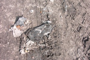 Luzifer01 018.jpg (286.75 KiB) 28781 mal betrachtet Vernichtung total: Die Boxerstiefelchen eines Girlys im Fahrbereich der schweren Müllfahrzeuge.