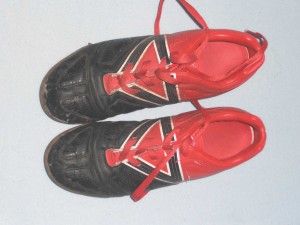 P1090006.jpg