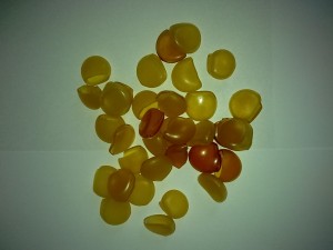 160320151156.jpg