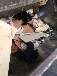 Müll0315 039.jpg (637.21 KiB) 15624 mal betrachtet Die armen weichen und bis eben noch beinahe am Obermaterial noch makellosen Wildlederstiefel, wurden jetzt auch vermüllt!