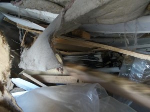 Müll0315 110.jpg (436.76 KiB) 13783 mal betrachtet Ein wirklich spektakuläres und sehr seltenes Bild: Ein Sneaker schon total platt und recht tief drin in den "Bauch" des Müllautos reingepresst! Etwa mit solch "beengtem Platzangebot" müssen Sperrmüllschuhe dann die "Große Stadtrundfahrt" mit "Orange Tours" mitmachen bis sie auf der Kreismülldeponie wieder "aussteigen" können. Hihi!