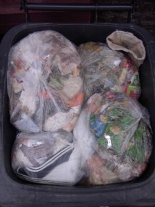 Müll0112 067.jpg (304.82 KiB) 7175 mal betrachtet Deutlich sieht man die Venice-Peeptoes, die auch schon tiefer in den Dreck gesunken sind. Jetzt kann man den Schriftzug auf den Sohlen nicht mehr sehen.