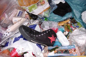 Müll1111 438.jpg (491.13 KiB) 9553 mal betrachtet Leider nur ein Schuh!