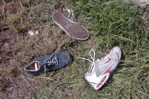 Müll1111 026.jpg (482.85 KiB) 28641 mal betrachtet Alle nur einzeln!