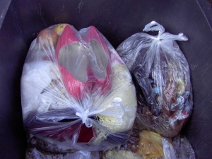 Gleich zwei Paar Pumps kamen zu Nudelresten und fauligem Obst in einen Müllbeutel.