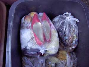 Die armen süßen roten Pumps mit dem goldenen Innenleben.