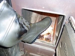 RIMG0436.JPG