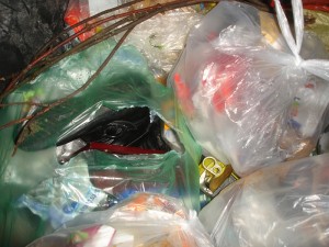 5438.jpg (267.01 KiB) 11739 mal betrachtet kleine Winterstiefelchen, die bei uns in der großen 1,1m³-Tonne landeten...doch sie sind gerettet und noch bei mir *g*