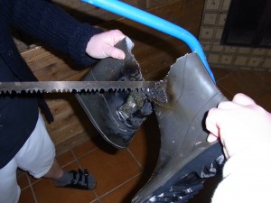 RIMG0526.JPG