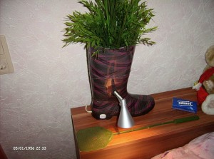 LPIC1485.JPG
