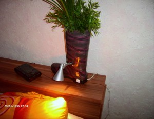 LPIC1486.JPG
