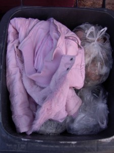 Kuschelig lag die noch unversaute rosa Girly-Jacke wieder in der Mülltonne &quot;wie es sich gehört&quot;.