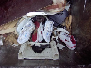 Müll1011 065.jpg (142.43 KiB) 8753 mal betrachtet Dafür, dass die Turnschuhe erst vor etwa einer Minute jäh aus dem Schuhregal im Haus auf die Straße zur Sperrmüllabfuhr gezerrt wurden, zeigen sie sich schon sehr vermüllt.