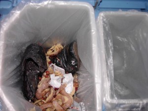 Müll0212 019.jpg (242.53 KiB) 6234 mal betrachtet Ein wieder einmal schmutziges Ende im Dreck!