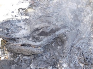 14.jpg (921.74 KiB) 8407 mal betrachtet Nur noch ein Häufchen Elend