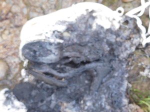 15.jpg (596.92 KiB) 8407 mal betrachtet Ein Brautkleid und ein paar Schuhe. Oder das was davon übrig ist.