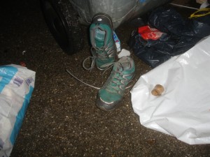 DSC08395_s.jpg (275.89 KiB) 7919 mal betrachtet Ein klassischer Fehleinwurf, den ich ausgenutzt hab. Gr. 37 ... durch Regen etwas feucht geworden und dadurch erst recht den Duft hervorgelockt *gg*