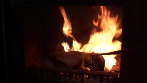 Westernstiefel8.jpg (30.55 KiB) 5224 mal betrachtet Das grenzt ja schon an Arbeitsverweigerung.