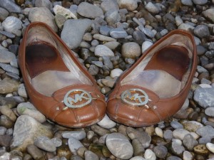 005.jpg (1.18 MiB) 5157 mal betrachtet Das sind die Lieblinge der Besitzerin