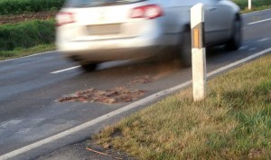 und zugeschaut wie die Autos drüberbrausen. Die Decke wurde bei jedem Auto kleiner.