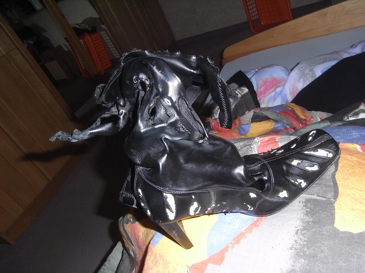 20100306_332.jpg