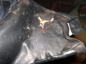 DSCN4851.jpg