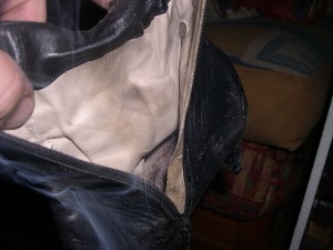 une doublure en cuir beige , bientot dévoré par les flammes