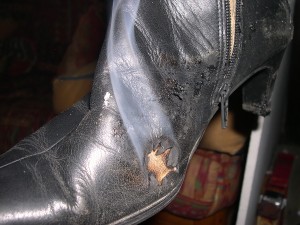 DSCN4855.jpg