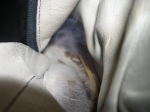 bien chaud le cuir beige a l intérieur