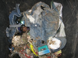 IMG_1386.JPG