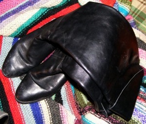 SE75523-056.JPG