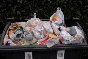 Müll0312 086.jpg (354.1 KiB) 10706 mal betrachtet Stinkender Müll und alte kaputte Turnschuhe.