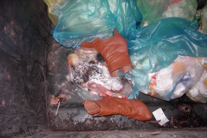 Müll0312 137.jpg (447.9 KiB) 8137 mal betrachtet Wahnsinnszufall!!!