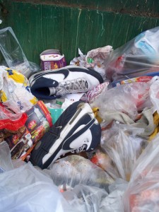 Müll0312 183.jpg (239.03 KiB) 8027 mal betrachtet Noch genug Platz für Restmüll in dieser Ecke.