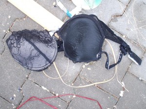 So süß, so geil, ab in den Restmüll mit dem armen verstoßenen und mit Füßen getretenen BH?