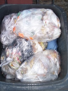 Müll0312 227.jpg (253.59 KiB) 5766 mal betrachtet Für Lenas Pantoletten war es nun auch endlich "Nacht" geworden.