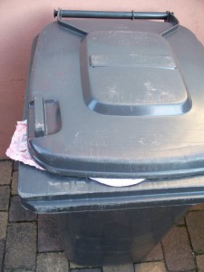 Müll0312 235.jpg (181.88 KiB) 5766 mal betrachtet Bald ist Müllabfuhr!