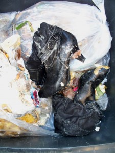 Müll0312 246.jpg (237.44 KiB) 7347 mal betrachtet Was für ein erbärmlicher Anblick!