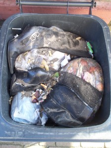 Müll0312 297.jpg (288.04 KiB) 6798 mal betrachtet Es war Lena wohl so egal, ihren Kehrricht auf diese geilen Stilettos zu werfen, als läge nur ein Küchenmüllbeutel mit Kaffeesatz, ner kaputten Glühbirne und abgenagte Knochen in unserer Mülltonne.