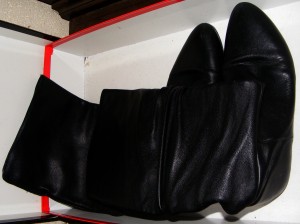 SE75528-066.JPG