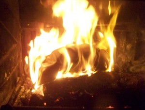 100_8279a.jpg