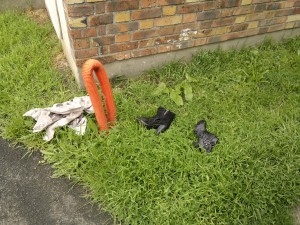 150520124616.jpg