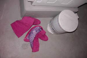 Astrid01 005.jpg (411.59 KiB) 7298 mal betrachtet Und warum standen sie dicht neben dem Mülleimer??