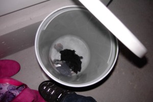 Astrid01 007.jpg (376.47 KiB) 7300 mal betrachtet Nur Flusenreste aus den Sieben ... .